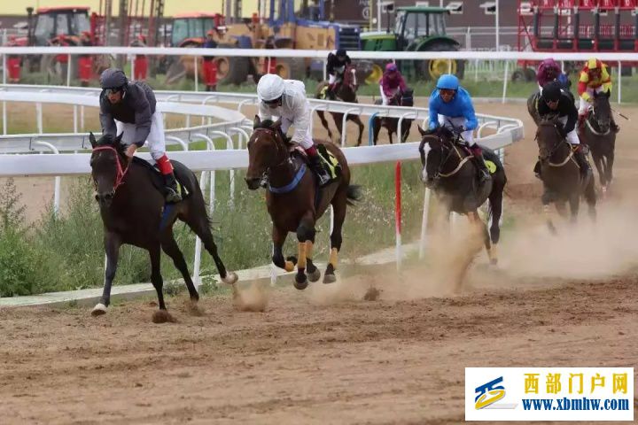 呼和浩特悠久的历史与灿烂的文化,筑起了这座“青...(图25) 呼和浩特悠久的历史与灿烂的文化,筑起了这座“青...(图25)