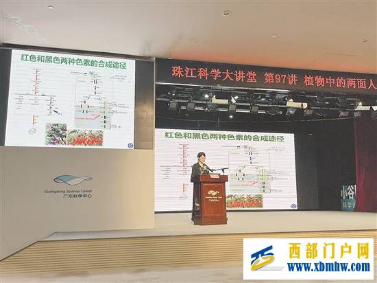 “宁夏枸杞”并不是宁夏的枸杞(图1) “宁夏枸杞”并不是宁夏的枸杞(图1)