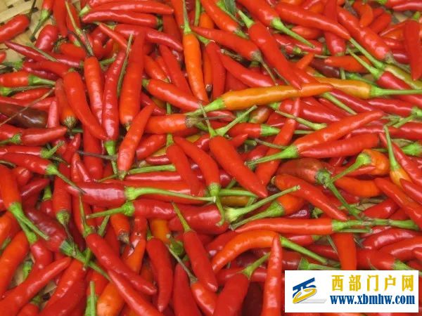 我的家乡—崇左(图20) 我的家乡—崇左(图20)