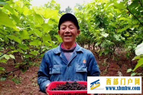 贴心服务真情为民国网石嘴山供电实际行动助力乡村振兴(图1) 贴心服务真情为民国网石嘴山供电实际行动助力乡村振兴(图1)