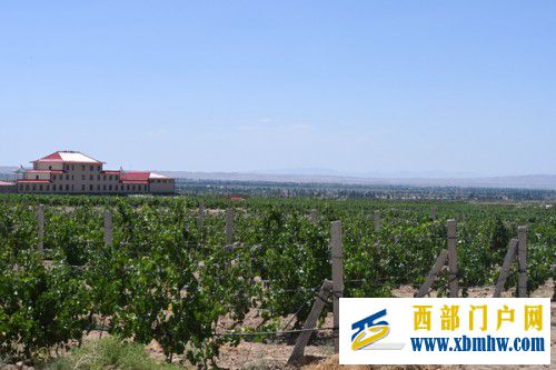 “红马甲”扮靓“紫名片”国网吴忠供电公司深入农家保供电助脱贫(图1) “红马甲”扮靓“紫名片”国网吴忠供电公司深入农家保供电助脱贫(图1)