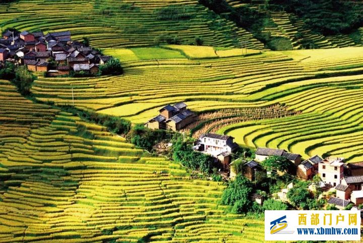 让80后干部“苦白了头”的云南楚雄,到底有多苦(图2) 让80后干部“苦白了头”的云南楚雄,到底有多苦(图2)