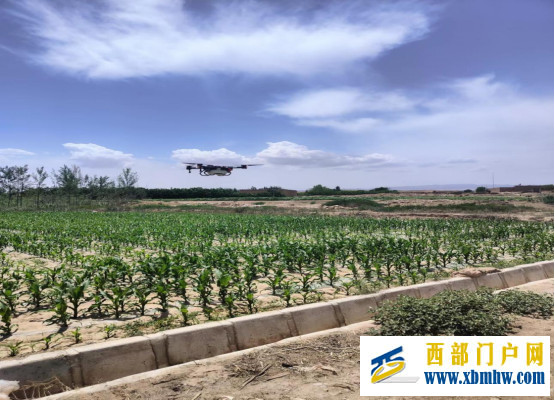 无人机植保飞入寻常百姓家白银三夏插上智能翅膀(图1) 无人机植保飞入寻常百姓家白银三夏插上智能翅膀(图1)