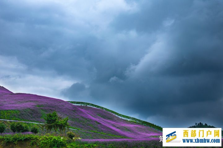 贵州的历史(图1) 贵州的历史(图1)