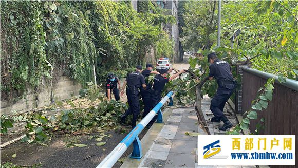 重庆渝中:打造“新时代群防铁军”(图1) 重庆渝中:打造“新时代群防铁军”(图1)