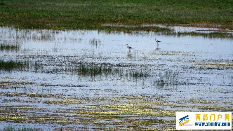 航拍青海碧波荡漾青海湖(图6) 航拍青海碧波荡漾青海湖(图6)