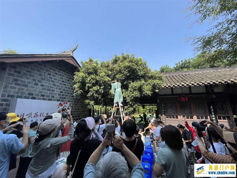 在苏东坡种荔枝的地方四川眉山三苏祠邀你来“日啖荔枝三百颗”(图1) 在苏东坡种荔枝的地方四川眉山三苏祠邀你来“日啖荔枝三百颗”(图1)