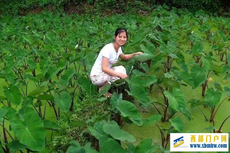 嫁给广西的男人是不是会伤心?为何广西女人外嫁多?(图1) 嫁给广西的男人是不是会伤心?为何广西女人外嫁多?(图1)