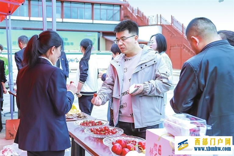 天水大樱桃再触“电” 进城出省“邮”相伴(图2) 天水大樱桃再触“电” 进城出省“邮”相伴(图2)