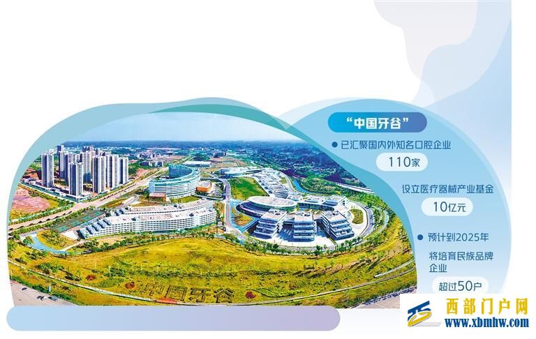 西部崛起口腔产业集群(图1) 西部崛起口腔产业集群(图1)