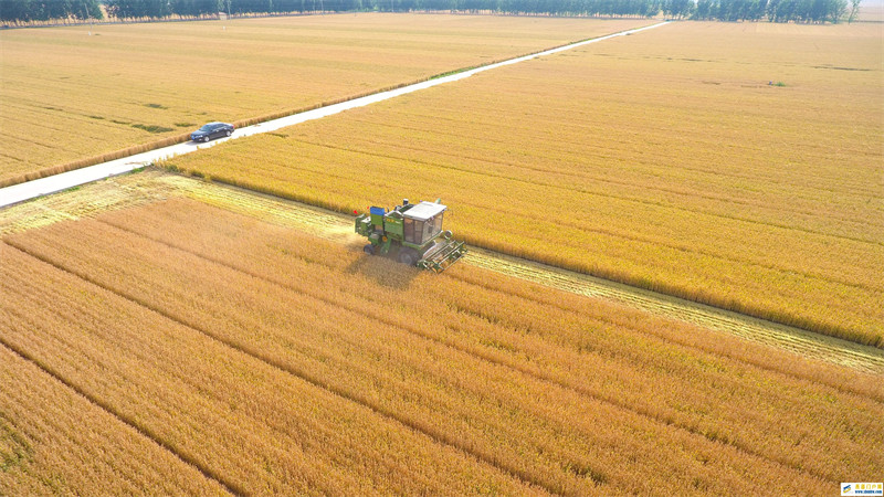 严守“三条控制线” 深改委会议释放明确信号(图1) 严守“三条控制线” 深改委会议释放明确信号(图1)