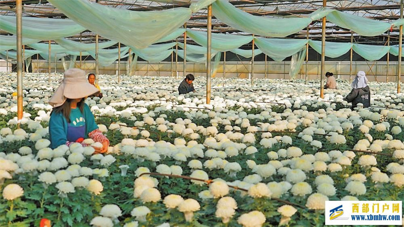 云南:冲刺开门红 复工复产忙(图1) 云南:冲刺开门红 复工复产忙(图1)