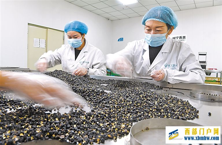 宁夏抓好巩固拓展脱贫攻坚成果同乡村振兴有效衔接(图1) 宁夏抓好巩固拓展脱贫攻坚成果同乡村振兴有效衔接(图1)