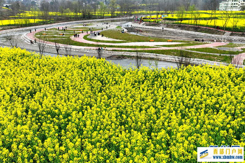 重庆酉阳:唱好“花经济” “颜值”变产值(图5) 重庆酉阳:唱好“花经济” “颜值”变产值(图5)