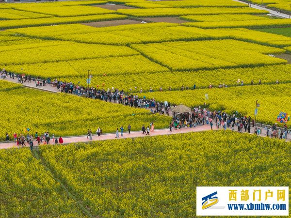 春花盛事,震撼巴山 | 2024最美油菜花海汉中旅游文化节镇巴分会场活动隆重举行(图5) 春花盛事,震撼巴山 | 2024最美油菜花海汉中旅游文化节镇巴分会场活动隆重举行(图5)