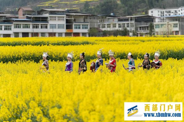 春花盛事,震撼巴山 | 2024最美油菜花海汉中旅游文化节镇巴分会场活动隆重举行(图10) 春花盛事,震撼巴山 | 2024最美油菜花海汉中旅游文化节镇巴分会场活动隆重举行(图10)