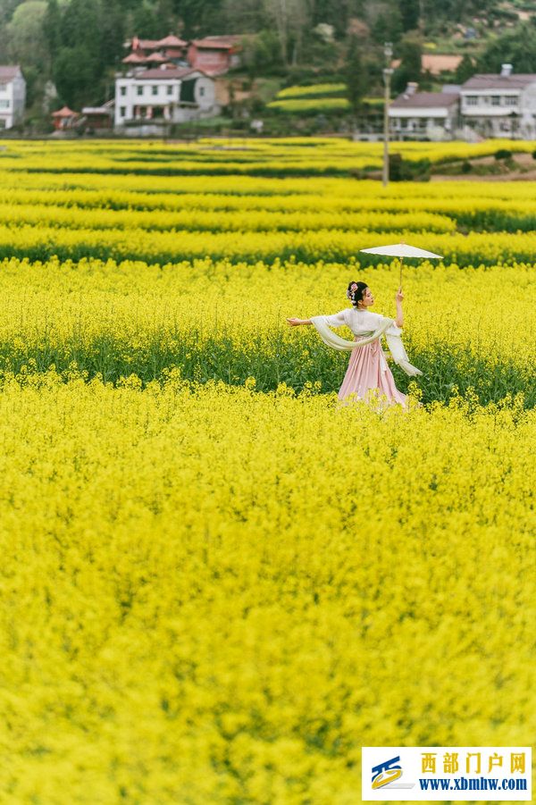 春花盛事,震撼巴山 | 2024最美油菜花海汉中旅游文化节镇巴分会场活动隆重举行(图23) 春花盛事,震撼巴山 | 2024最美油菜花海汉中旅游文化节镇巴分会场活动隆重举行(图23)