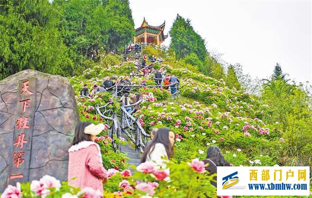 垫江牡丹开出“花经济”(图1) 垫江牡丹开出“花经济”(图1)