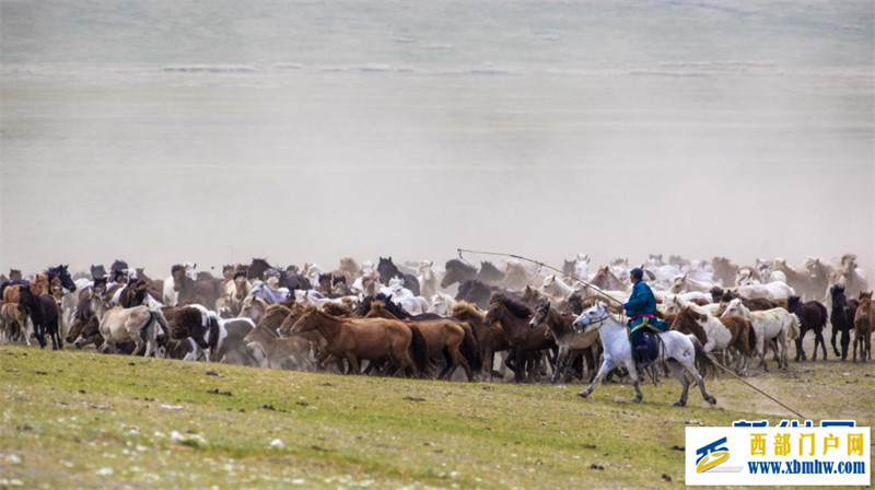 乌珠穆沁草原上演马文化盛宴(图1) 乌珠穆沁草原上演马文化盛宴(图1)