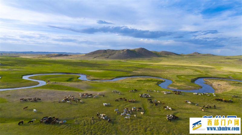 乌珠穆沁草原上演马文化盛宴(图6) 乌珠穆沁草原上演马文化盛宴(图6)