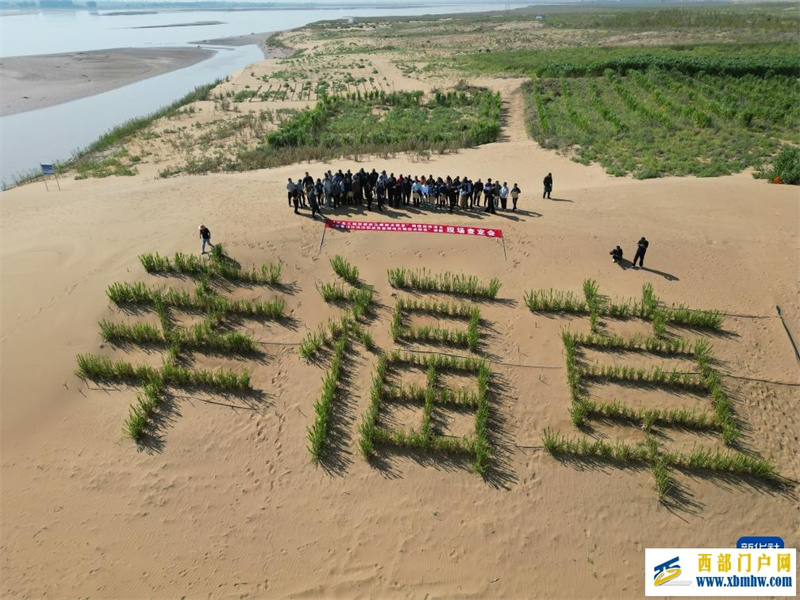 黄河菌草生态安全屏障建设现场座谈会在内蒙古举行(图1) 黄河菌草生态安全屏障建设现场座谈会在内蒙古举行(图1)