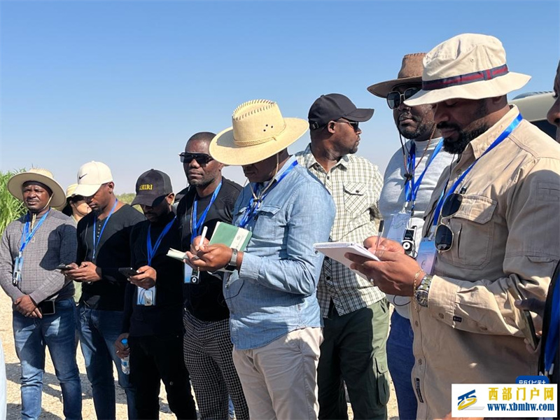 黄河菌草生态安全屏障建设现场座谈会在内蒙古举行(图3) 黄河菌草生态安全屏障建设现场座谈会在内蒙古举行(图3)