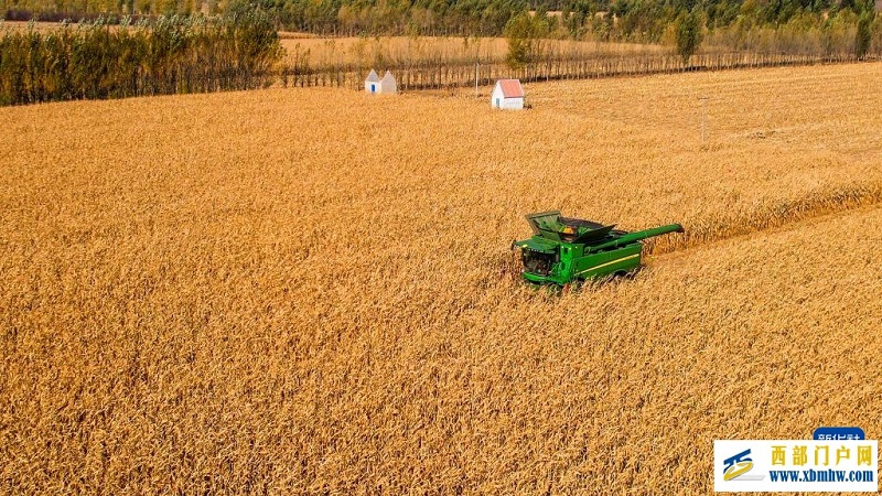 内蒙古通辽:“吨粮田”遍地开花(图1) 内蒙古通辽:“吨粮田”遍地开花(图1)