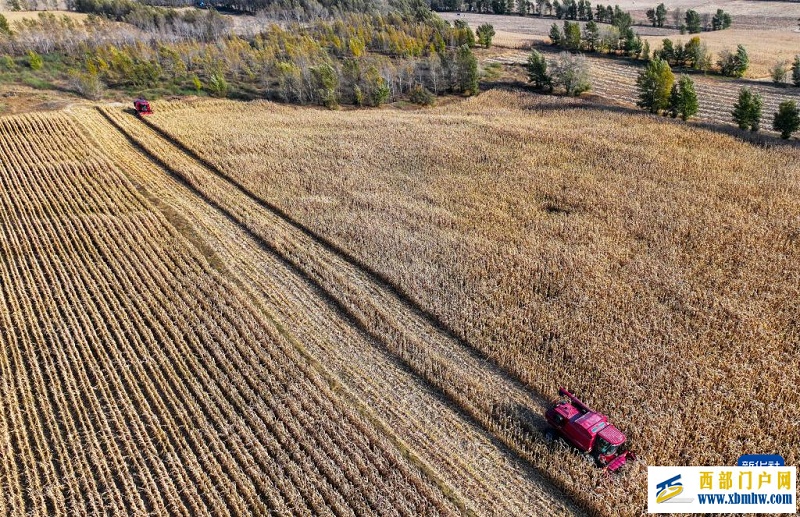 内蒙古通辽:“吨粮田”遍地开花(图2) 内蒙古通辽:“吨粮田”遍地开花(图2)