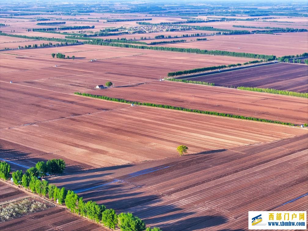 内蒙古东部粮仓通辽：2000万亩玉米播种正当时(图1)