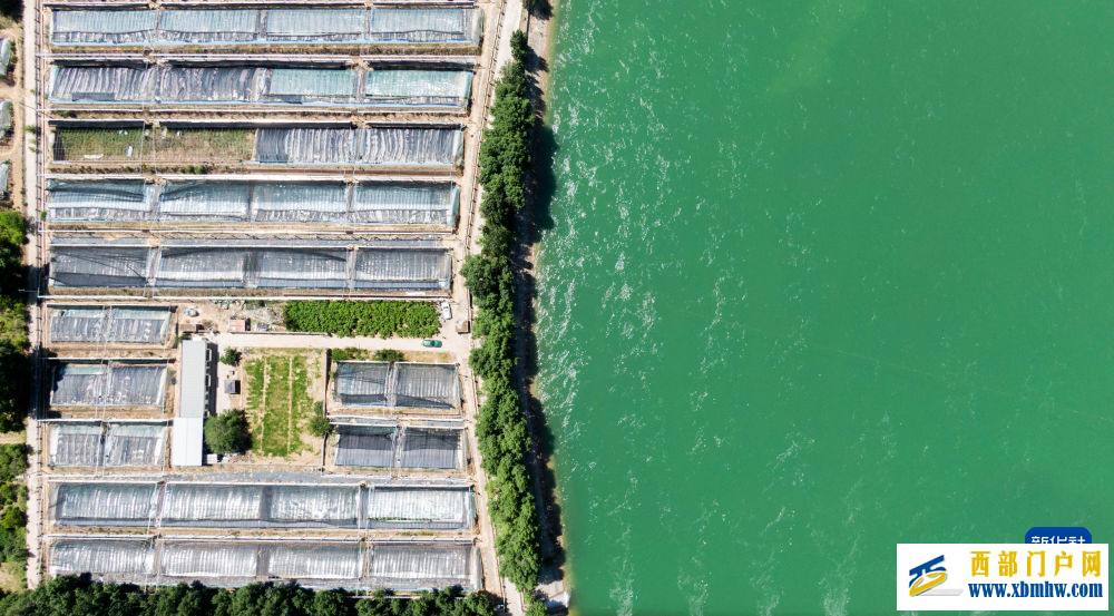 青海尖扎：夏日黄河清(图4)
