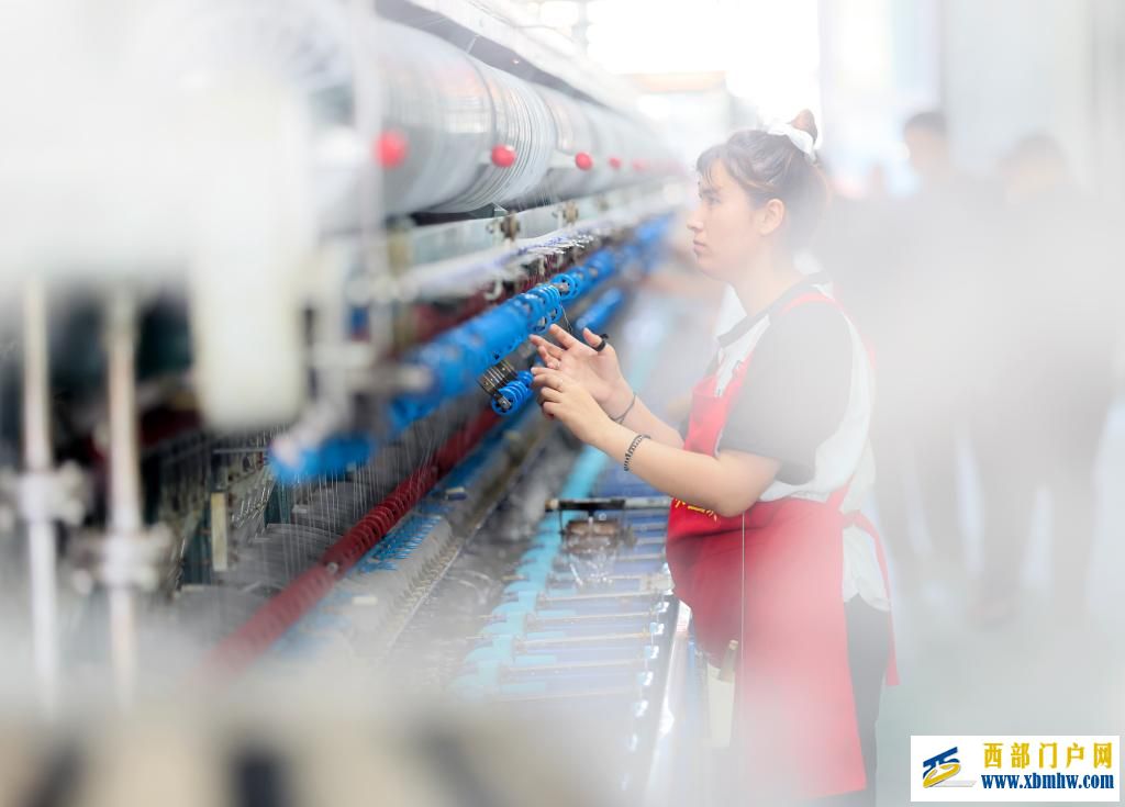 新疆乌苏：桑蚕茧产业拓宽乡村振兴新“丝”路(图4)