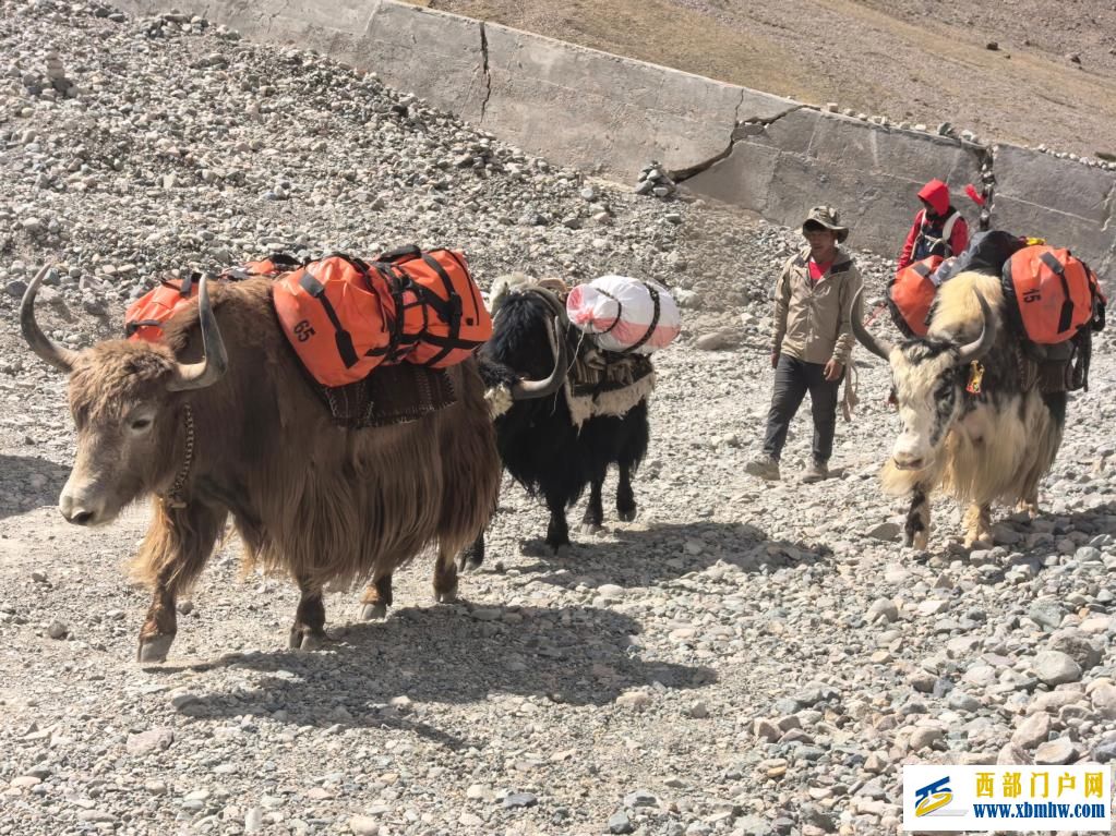 塔尔钦:在冈仁波齐脚下等你(图5) 塔尔钦:在冈仁波齐脚下等你(图5)