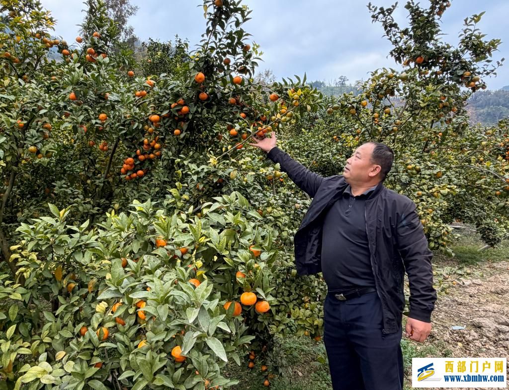 周昌战：初心绘就百坭乡村振兴新图景(图1)