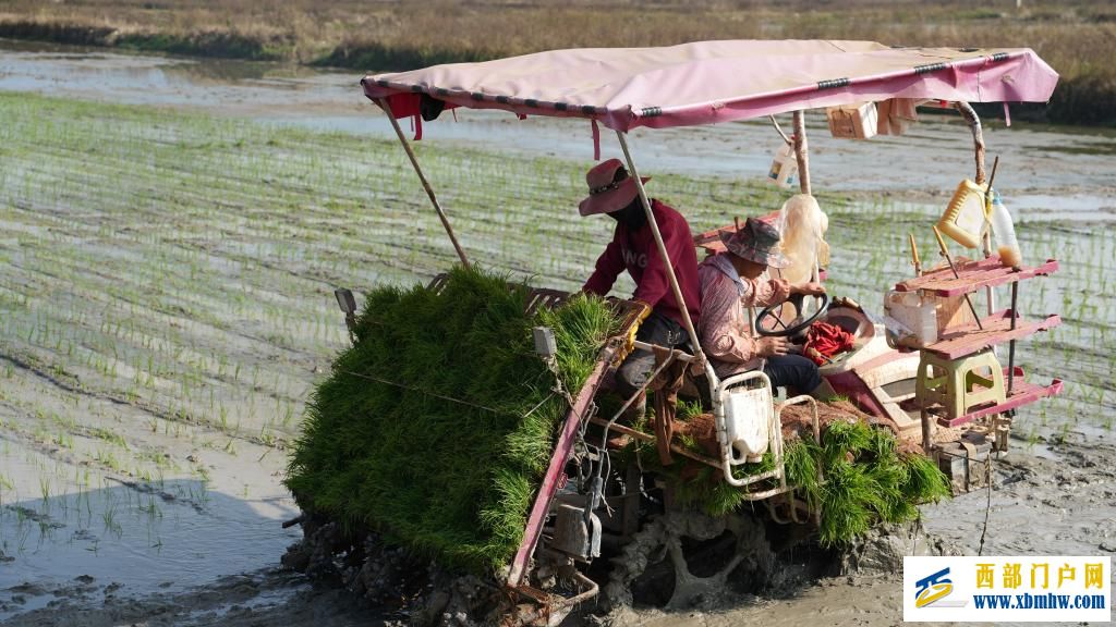 耕作在充满希望的春天(图1)