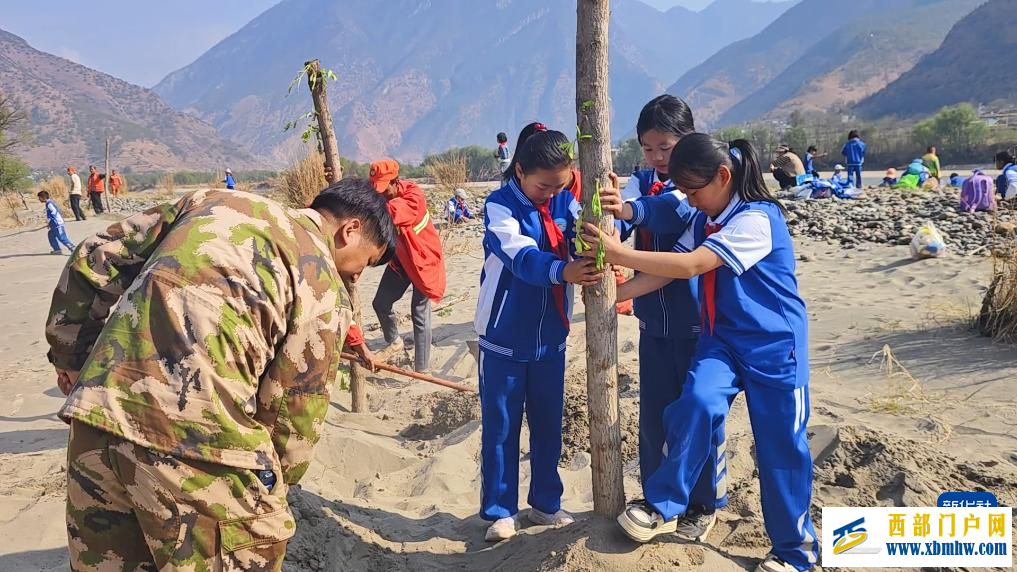 云南多地开展植树活动(图2)